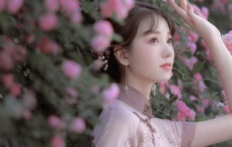 原始卵泡少（原始卵泡不长怎么办）