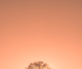 合肥捐卵怎么找正规机构，附各捐卵试管医院详细地址！